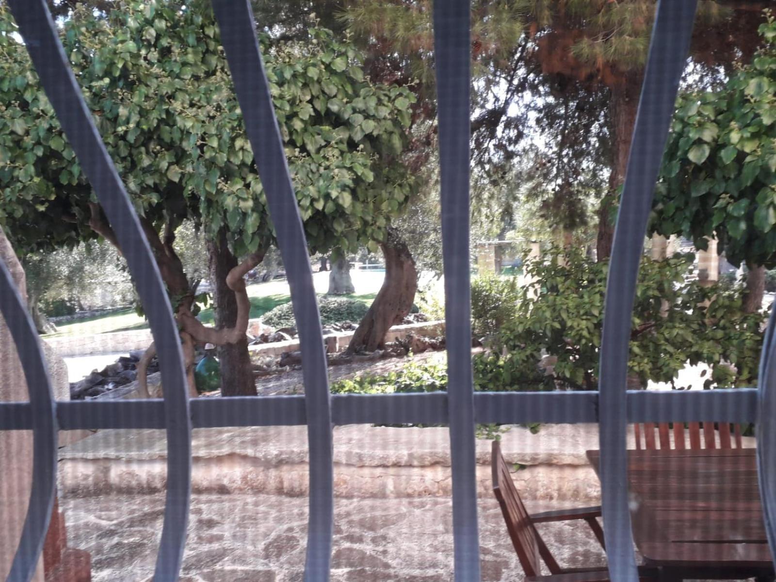 Masseria Due Torri Monopoli Cameră foto