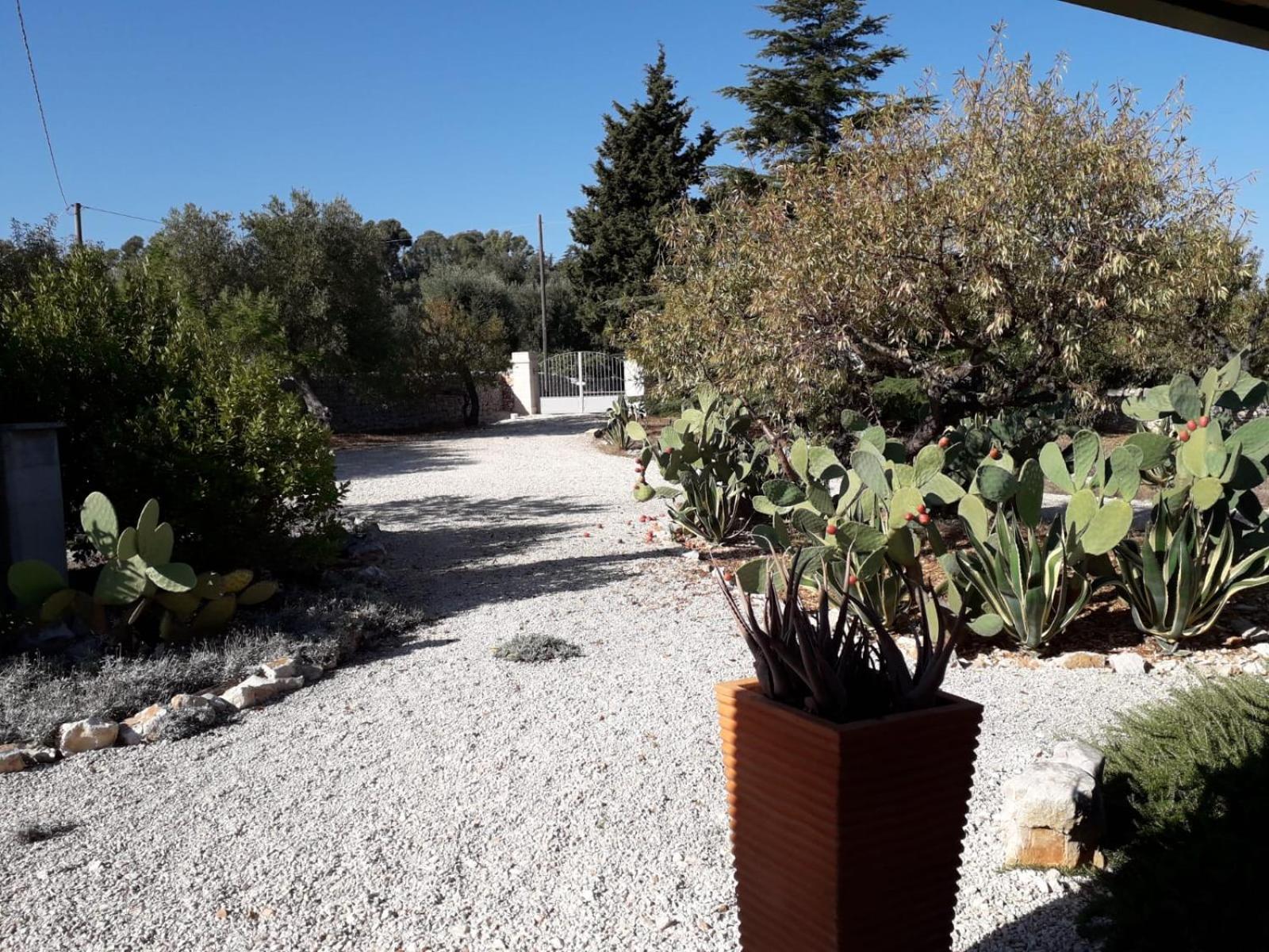 Masseria Due Torri Monopoli Cameră foto