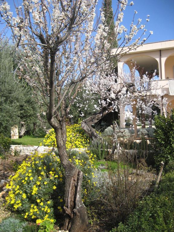 Masseria Due Torri Monopoli Cameră foto
